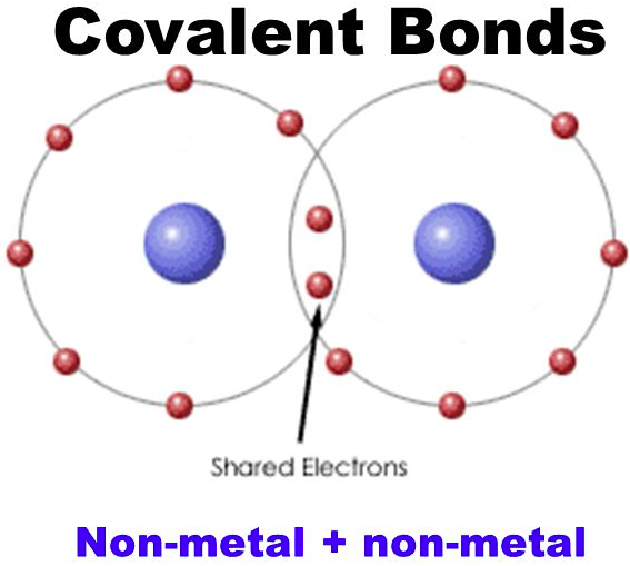<p>covalent </p><ul><li><p>between same element </p></li></ul><p></p>