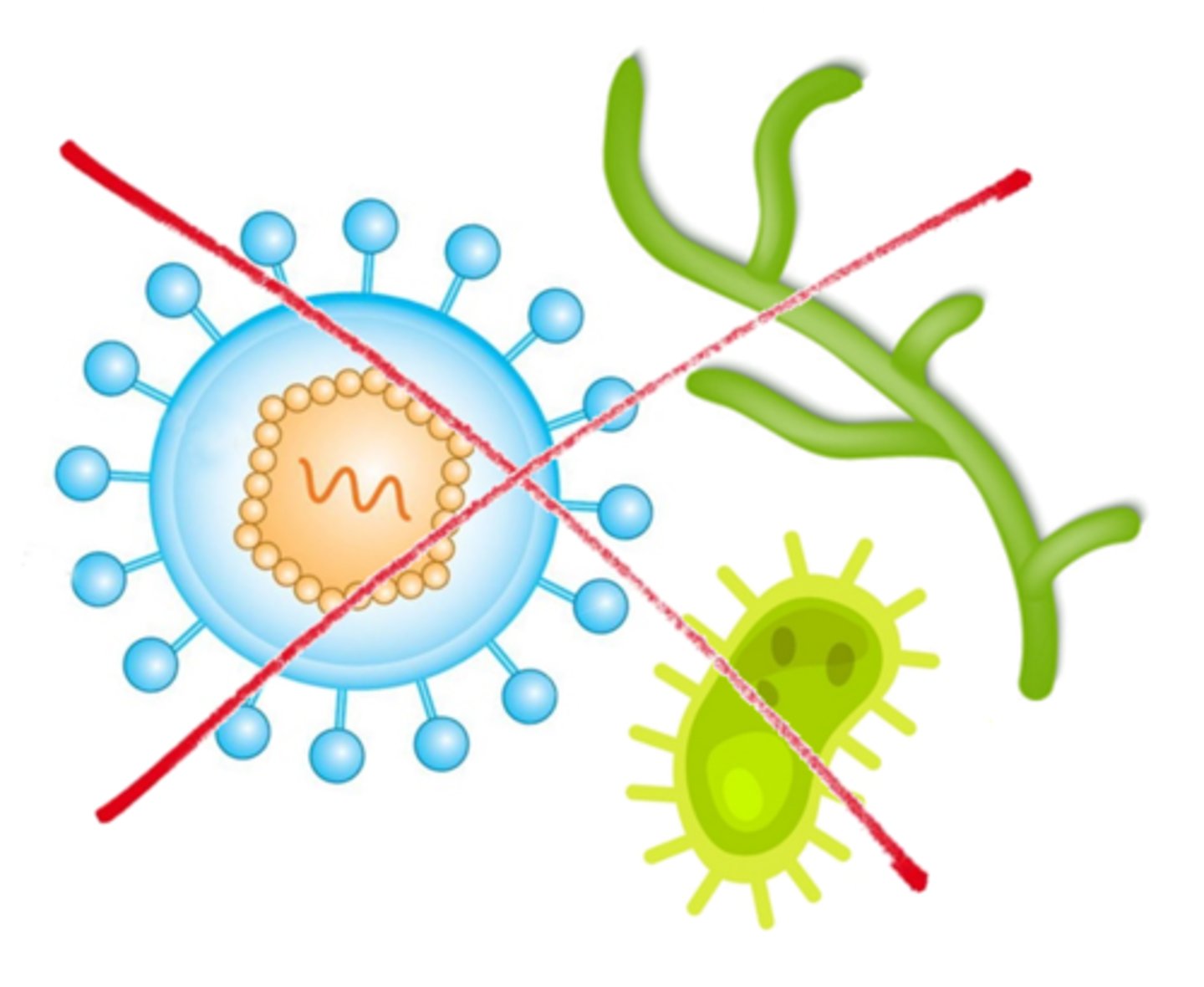 <p>the destruction of some vegetative forms of bacteria</p>