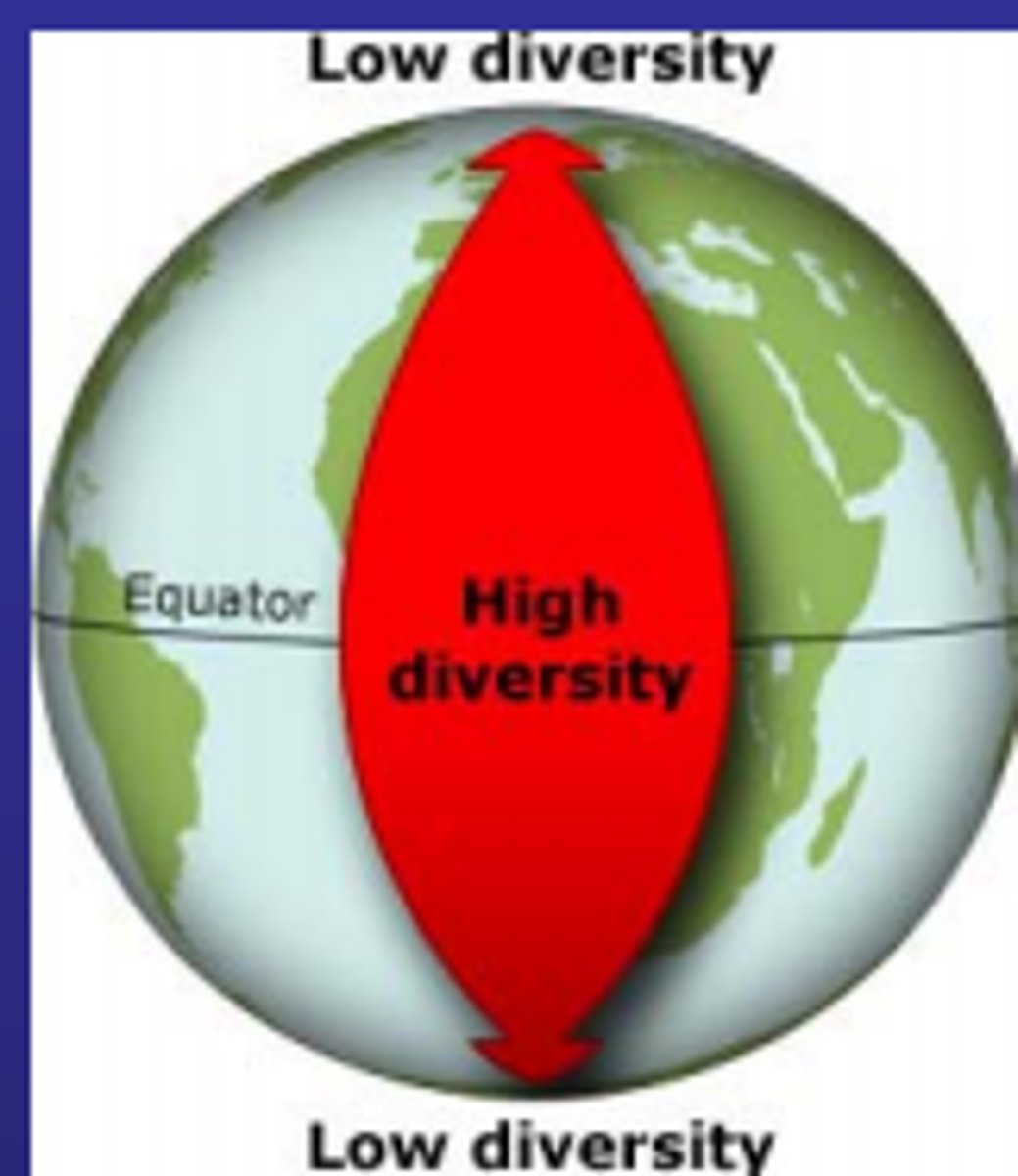 <p>strong negative relationship between species diversity and latitude (higher latitude = lower diversity, lower latitude = higher diversity) (seabirds are an exception, instead correlating w ocean productivity)</p>
