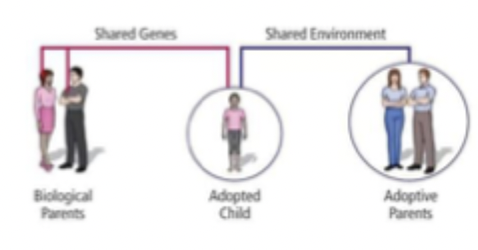 <ul><li><p>same genes, different environments</p></li><li><p>ideal is to study adopted twins </p></li></ul><p></p>
