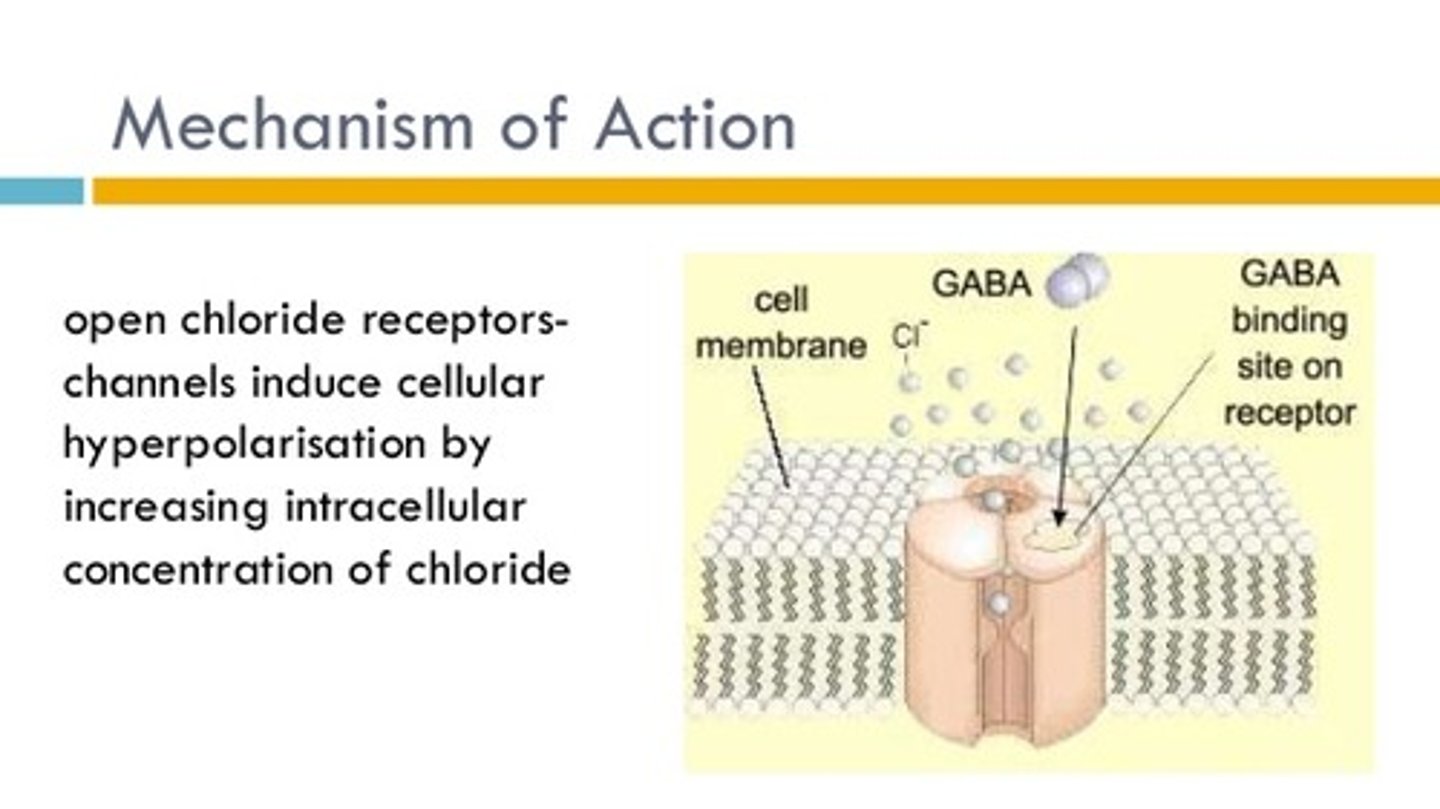 <p>Because allowing Chlorine to enter the neuron will decrease the membrane potential, this would be an Inhibitory Neurotransmitter. This one would function a lot like GABA!</p>