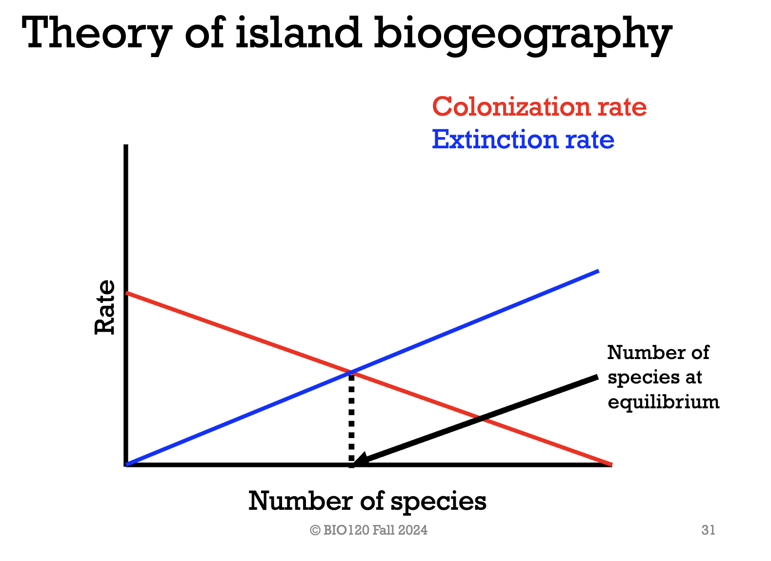 <p>The island is gaining species at the same rate the island is losing species. Therefore, the number of species on the island stops changing. </p>