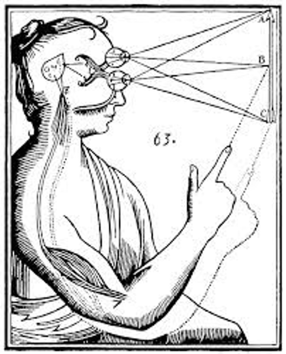 <p>the view that (a) knowledge comes from experience via the senses, and (b) science flourishes through observation and experiment.</p>