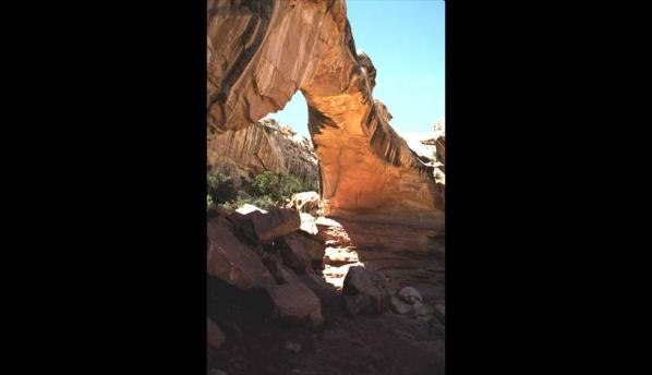 Hickman natural bridge is found in:

a.       Bryce Canyon National Park

b.      Zion National Park

c.       Capitol Reef National Park

d.      None of the above