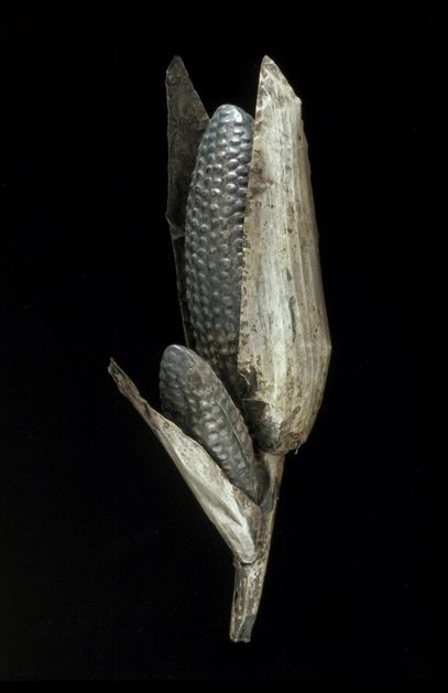 <p>Maize Cob </p>