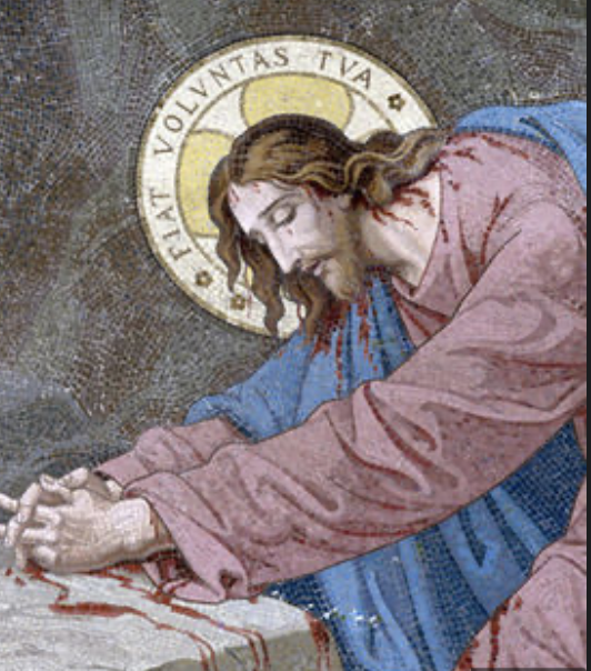 \
As the final hours of Jesus' life approached, after He had finished with His disciples, He went to the garden of Gethsemane. Christ would often retreat with His disciples to this garden for prayer. Once Jesus gets to the garden He tells Hisdisciples to stay and wait while He took Peter, James and John, and journeyed further into the garden, where "He began to be sorrowful and deeply distressed." He says to them, "My soul is exceedingly sorrowful, even to death." He then asks them to stay in a certain place and to "watch." Jesus withdrew from them; only a stone throw away, i.e. a short distance, then, out of the absolute overwhelming sorrow He was feeling, collapses and bowing Himself down He begins to pray. Looking up to His Father He reasons and says "O My Father, if it is possible, let this cup pass from Me; nevertheless, not as I will, but as You will." After He had prayed Jesus went to see His disciples to check on them and perhaps find some comfort. He finds them asleep. He turns to Peter and says, "Could you not watch with Me for one hour? Watch and pray, lest you enter into temptation. The spirit indeed is willing but the flesh is weak." Jesus for a second time leaves the three disciples to go back and pray, and again reasons with the Father, "O My Father, if this cup cannot pass away from Me unless I drink it, Your will be done." Again Jesus, after He has prayed returns to Peter, James and John, and again for the second time finds them asleep. Jesus again returns and prays the same words more earnestly. Then according to the gospel of St Luke, "an angel appeared to Him from heaven, strengthening Him." The sorrow and emotional torment of the painstaking nightmare of carrying the sins of the world took a huge emotional toll on Jesus, which translated to a physical phenomenon that caused Him to sweat "great drops of blood." Finally Jesus had concluded His prayer, and for the third time He found His disciples "sleeping and resting," yet this time He tells them not only to pray, but to "rise and pray"-Luke 22:46 because it was approaching the end and "the Son of Man is being betrayed into the hands of sinners." - Mark 14:41