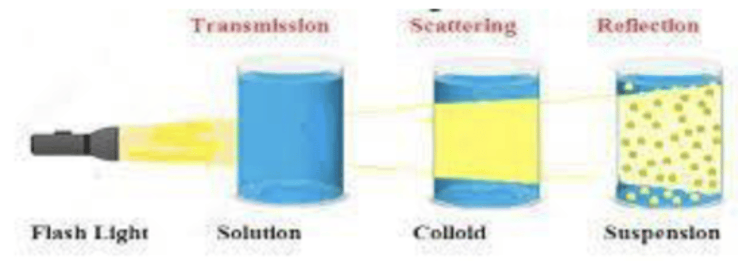 <p>insoluble solid particles are dispersed in a liquid medium</p>