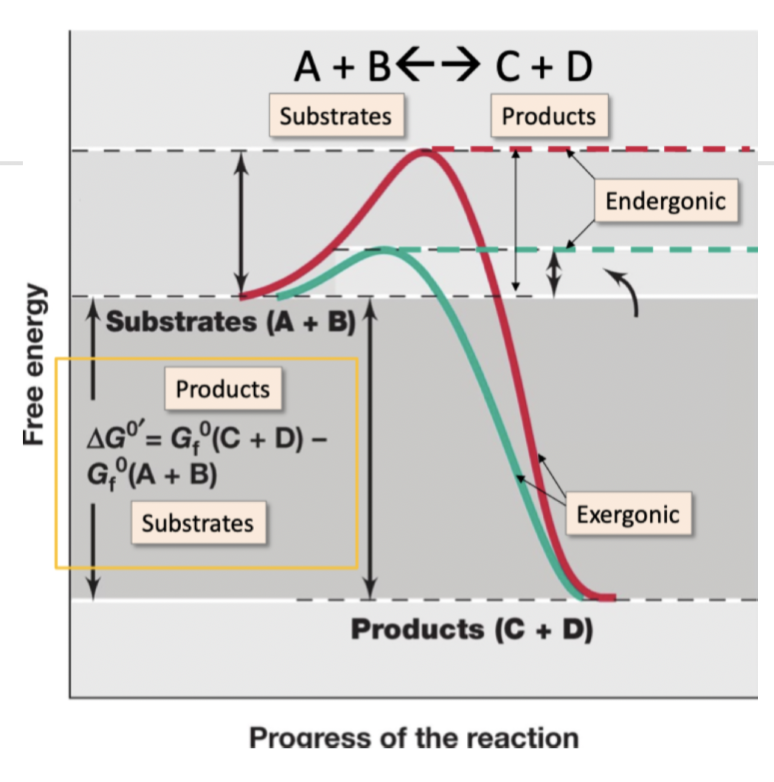 free energy availability 