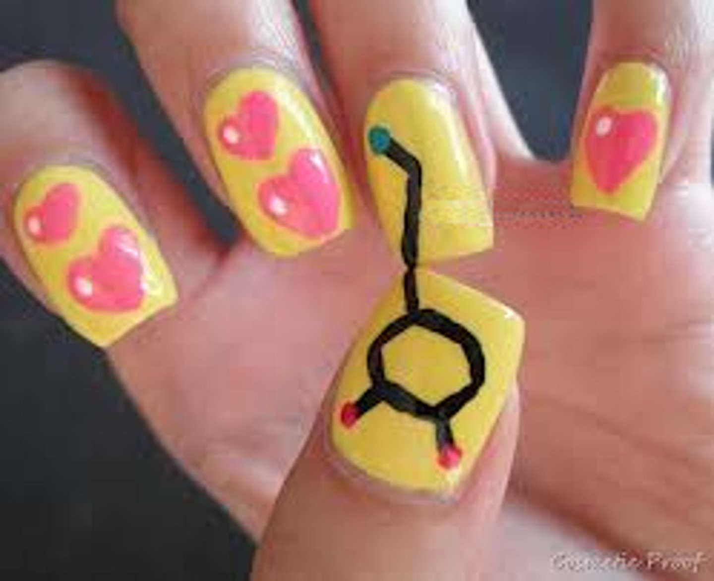 <p>Motor function and pleasure reward</p>