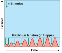 <p>a phenomenon where muscle contractions increase in strength with repeated stimulation, leading to progressive enhancement of muscle tension. </p>
