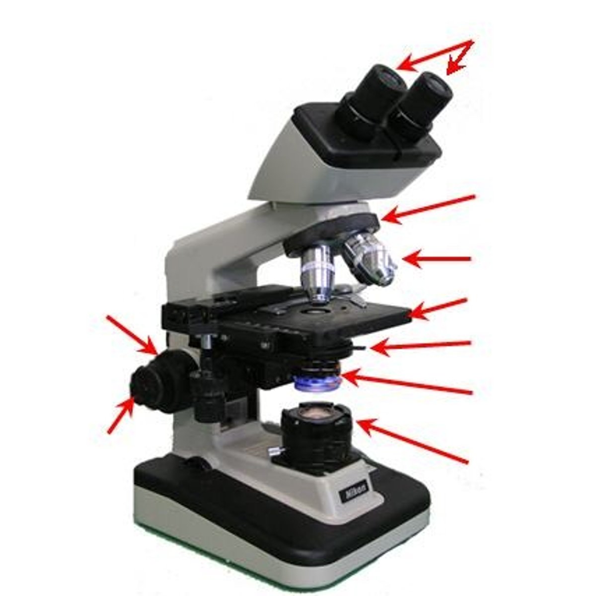 <p>knob allowing the viewer to control the position of the condenser.</p>