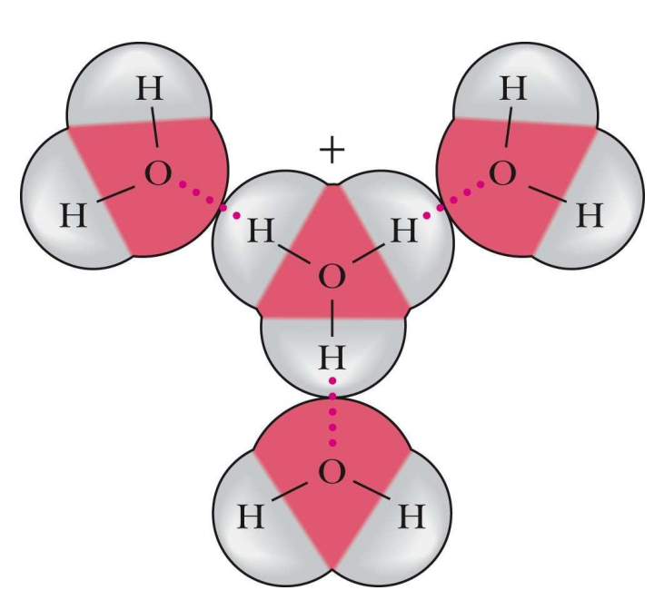 <p>Proton relay is the process by which protons are rapidly transferred between water molecules, facilitating efficient acid-base reactions. AKA FAST due to number of molecules and collisions occuring. </p>