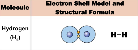 <p>Sharing one pair of electrons</p>