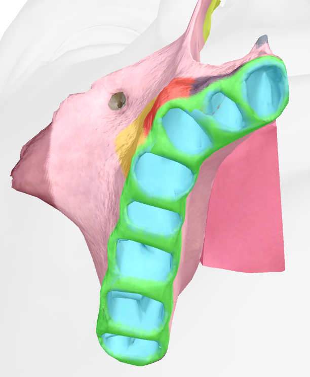<p>another name for dental alveoli </p>