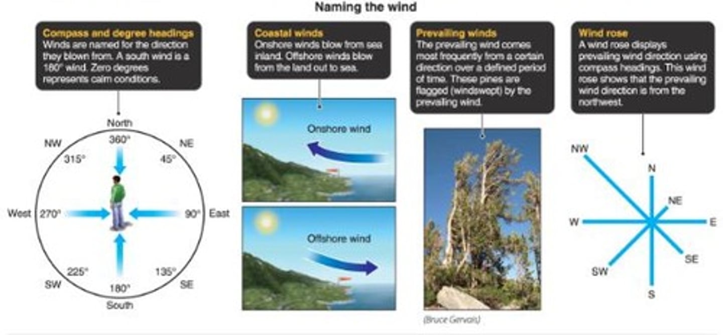<p>Winds are named by the direction they originate from.</p>