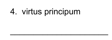 term image