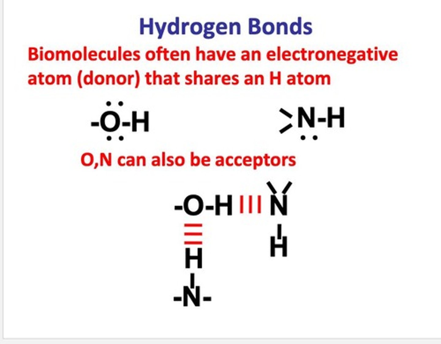 <p>They are crucial for the structure of water, protein folding, and DNA base pairing.</p>