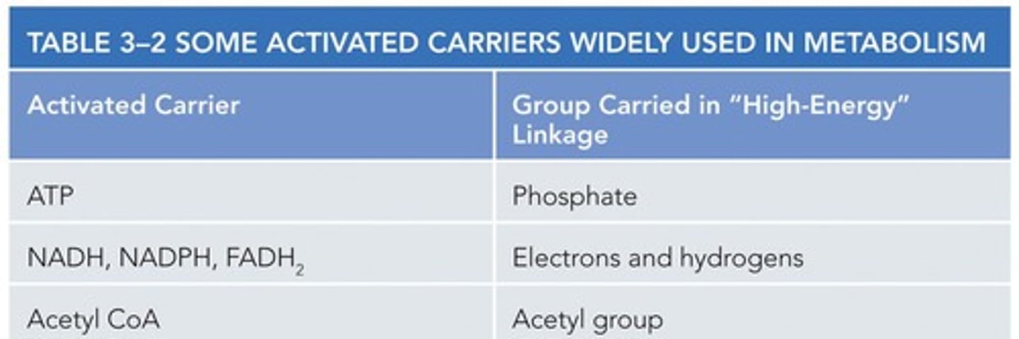 <p>One of the two mechanisms by which ATP is made during cellular respiration.</p>