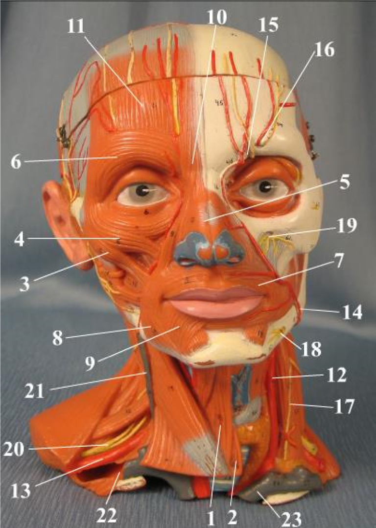 <p>2</p>