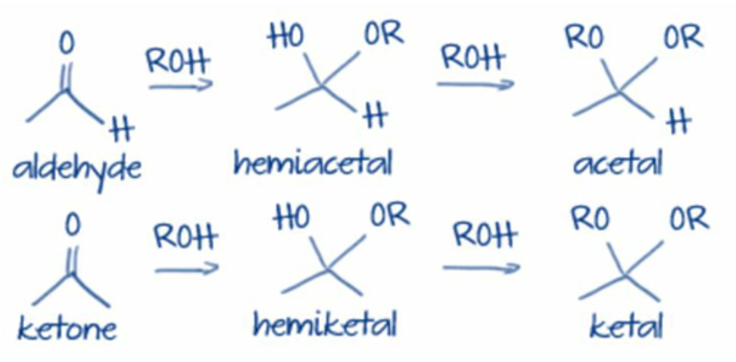 <p>alcohol is nucleophile, forms hemiacetal first (with one alcohol one ether group), then forms acetal (two ether groups)</p><p>acid catalyst for both steps so weak nucleophile can attack</p>