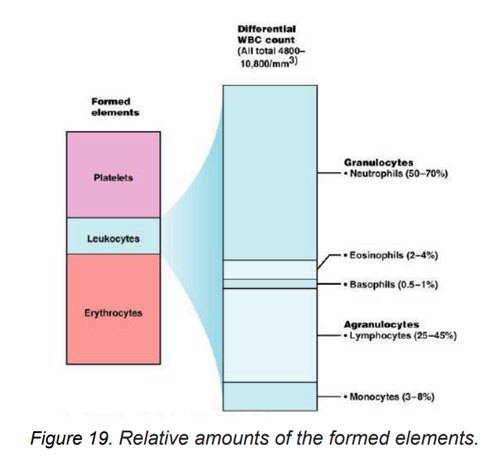 <p><strong>Leukocytes (WBCs)</strong> <span data-name="white_circle" data-type="emoji">⚪</span><span data-name="drop_of_blood" data-type="emoji">🩸</span></p>