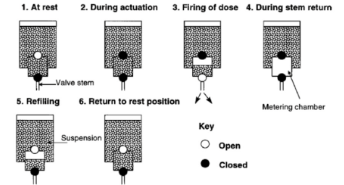 <p>metering chamber is filled from bulk canister at resting stage, during actuation depression of the valve stem empties the chamber’s contents through the stem orifice, after actuation the release in pressure allows the metering chamber to refill with liquid from the bulk for the next dose</p>