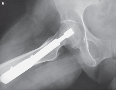 <p>What view is this?</p>