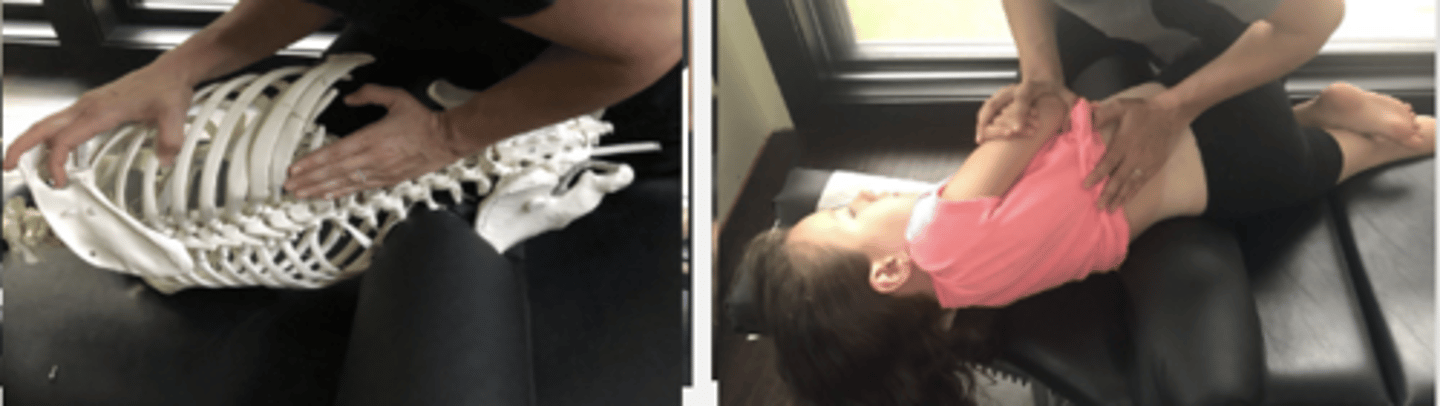 <p>PP: Basic side posture position with the dysfunctional side up-verbalize how you found the segment</p><p>DP: Modified fencer stance on side of dysfunction</p><p>CH: Caudal (L) hand hypothenar on L3 MP with fingers runing parallel to spine</p><p>IH: Cephalic (R) hand slight upward traction holding the pt's up-side shoulder or overlapping hand</p><p>LOD: P-A, I-S</p><p>(Place roll under patient to assist the LF motion)</p>