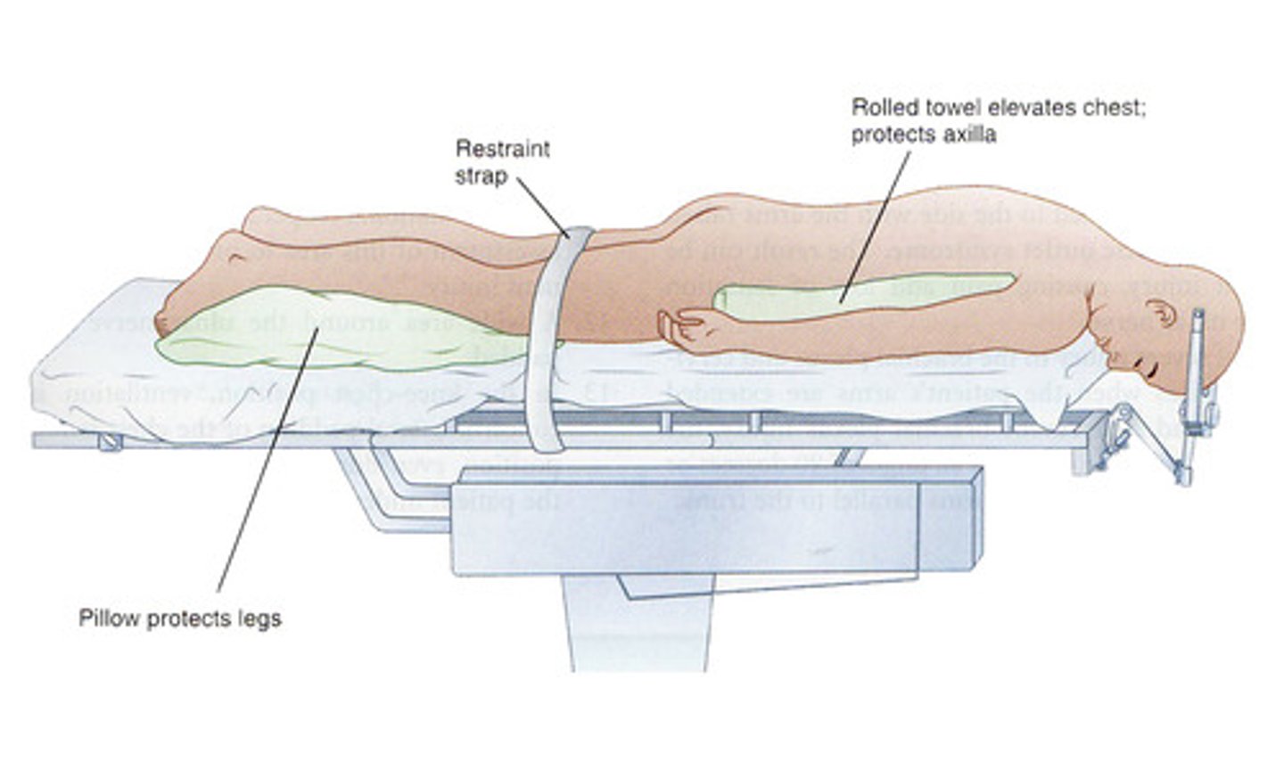 <p>lying on abdomen, facing downward (head may be turned to one side)</p>