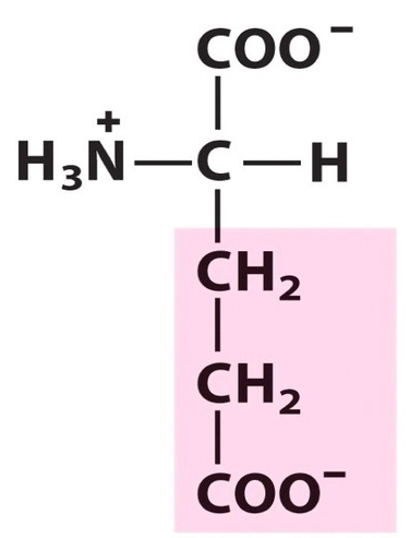 Negatively charged R groups