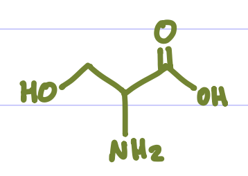 <p>Is this Amino Acid Polar or Non-polar?</p>