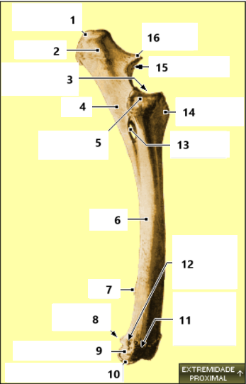 <p>12</p>
