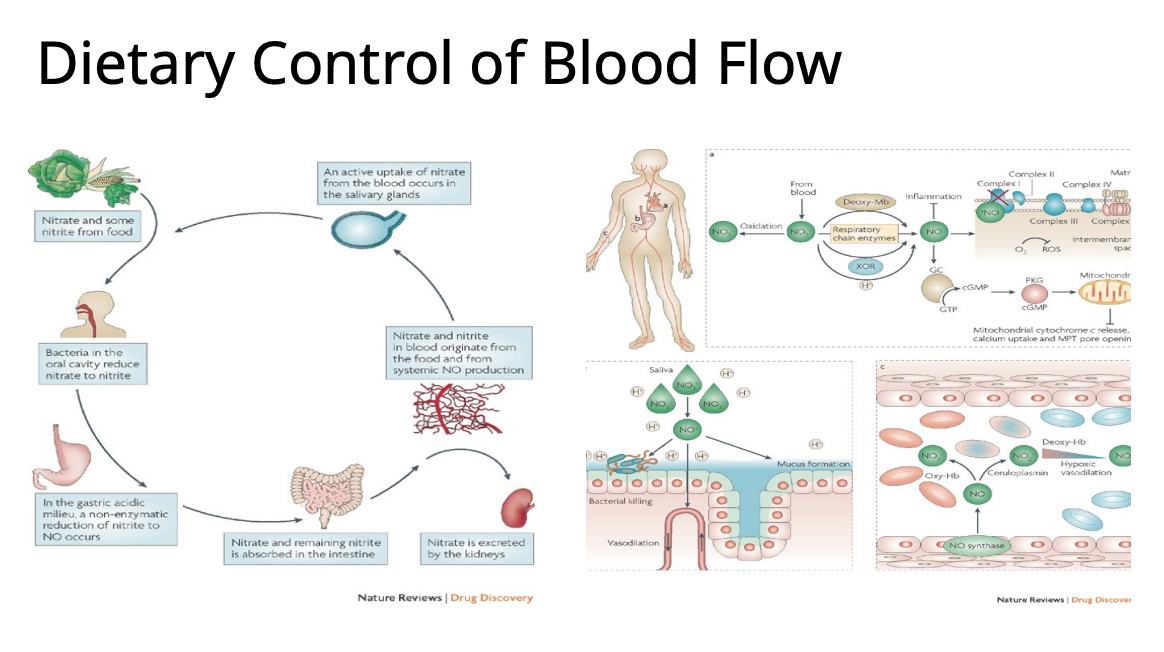 <p>Describe Dietary Control of Blood Flow </p>