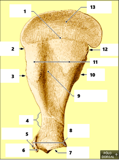 <p>2</p>