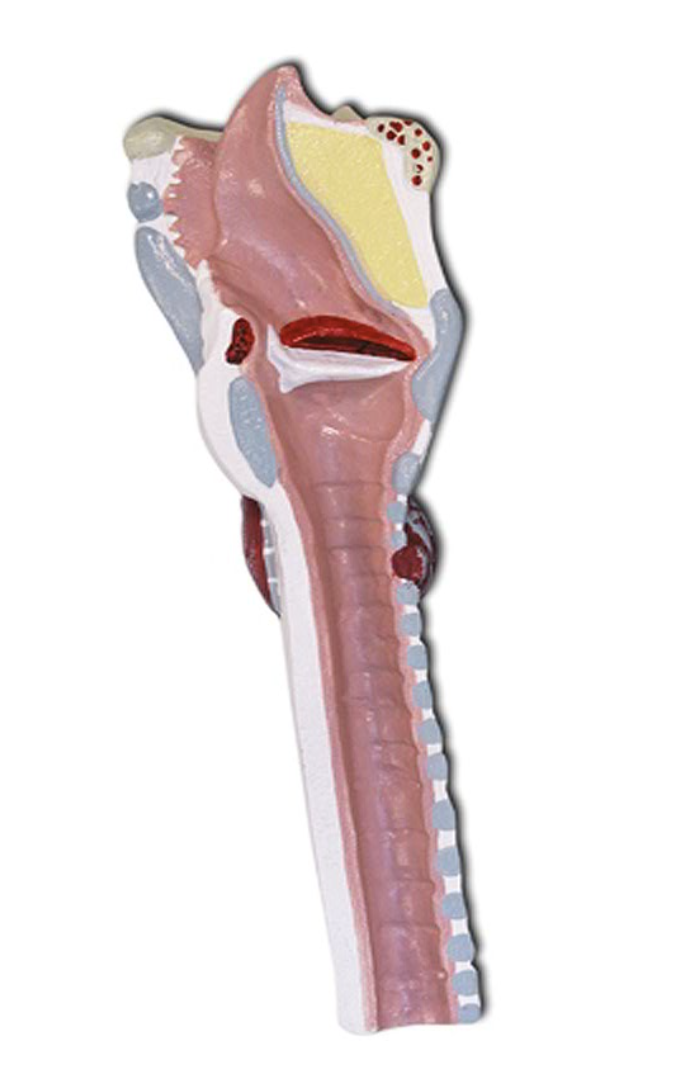 <p>What is this?</p>