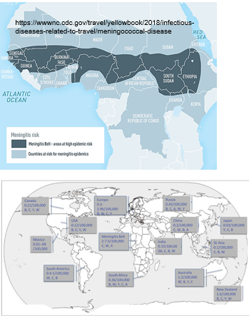 <p> Travelers to the<strong> "meningitis belt"</strong> in sub-Saharan Africa.</p>