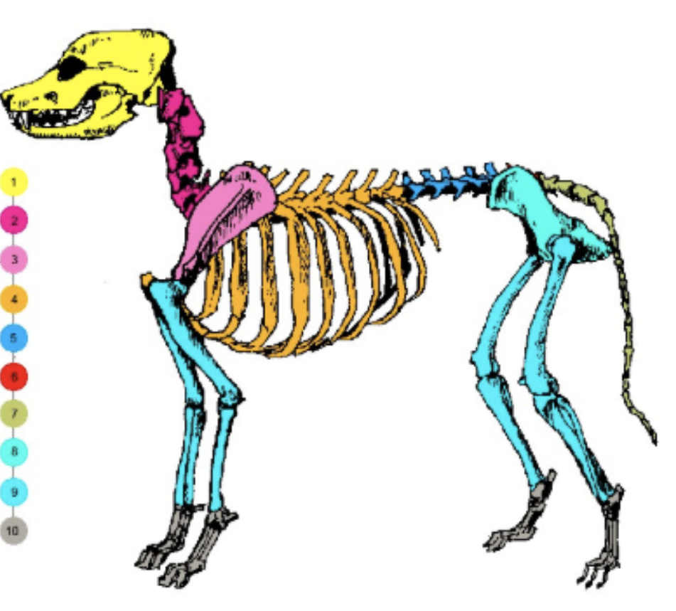 <p>Nombra las partes correspondientes de cada número:</p>