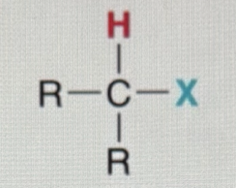 <p>alkyl halide </p>