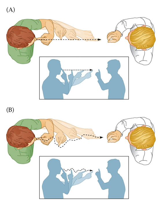 <p>in the <strong>finger-nose-finger test</strong>, the person touches their finger to their nose, then extends it to touch the examiner’s finger checking for coordination and ataxia.</p>