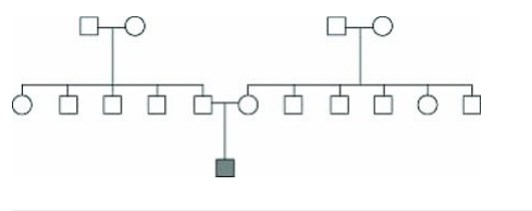 <p>What is the most likely explanation for the occurrence of an X-linked genetic disorder in the boy at the bottom of the pedigree shown?</p>