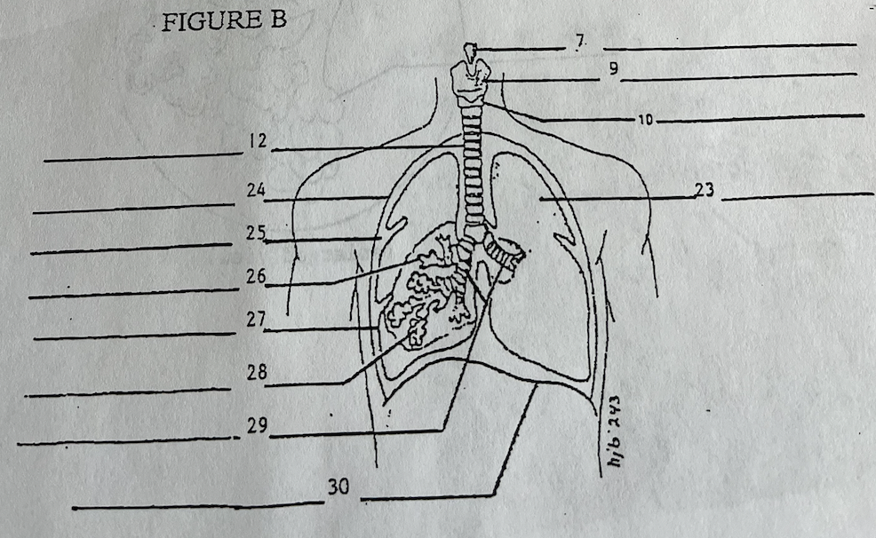 <p>what is 27</p>