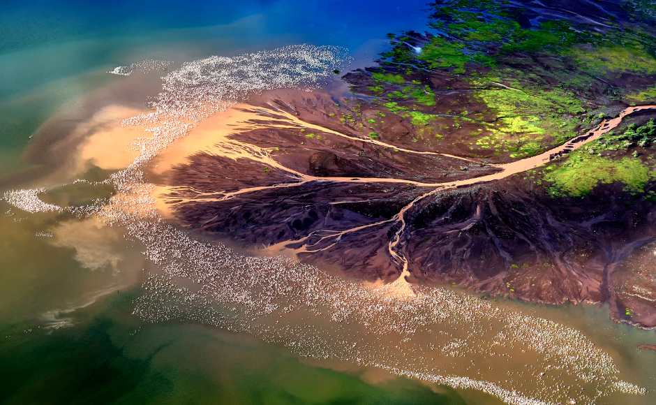 <p>a landform, often triangular, that forms where a river enters a sea or lake, depositing sediment</p>