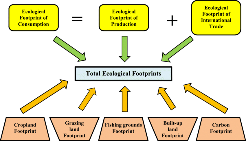 Fig. 5 Ecological Footprint