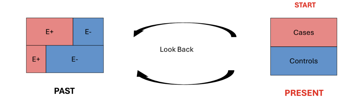 <p>A study used to assess the effect of past exposure / risk factors on current health / disease status - retrospective study design.</p><p></p><ol><li><p>Identify a group of subjects with a particular disease / condition. These are called Cases.</p></li><li><p>Identify a group of subjects without the disease. These are called Controls. Can use matching on predefined characteristics to select controls, to address possible confounding</p></li><li><p>Look back in time to see which subjects in each group had the exposure(s) of interest</p><ol><li><p>Compare the levels of exposure in Controls and Cases</p></li></ol></li></ol><p></p>