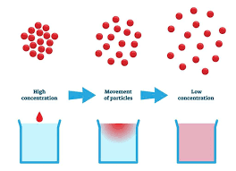 <p>Movement of particles from high to low concentration</p>
