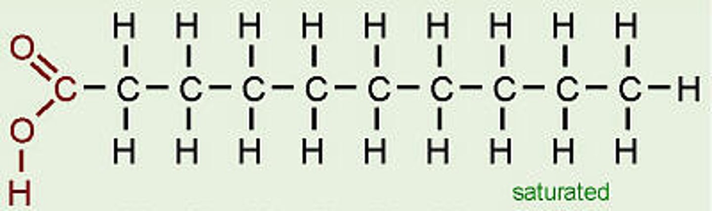 <p>building block of a lipid made of a hydrocarbon chain and a carboxyl group</p>