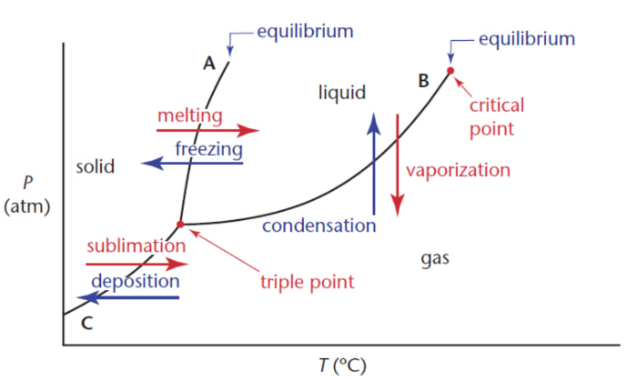 <p>graphs that show the standard and nonstandard states of matter for a given substance in an isolated system, as determined by temperatures and pressures</p>