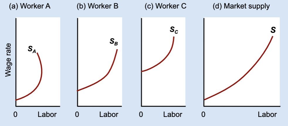 <p>What changes when adding labor supply curves horizontally?</p>