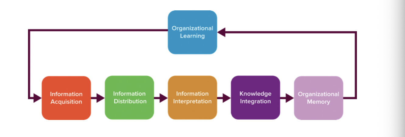 <p>proactively creates, acquires, and transfers knowledge and changes its behavior on the basis of new knowledge and insights</p>