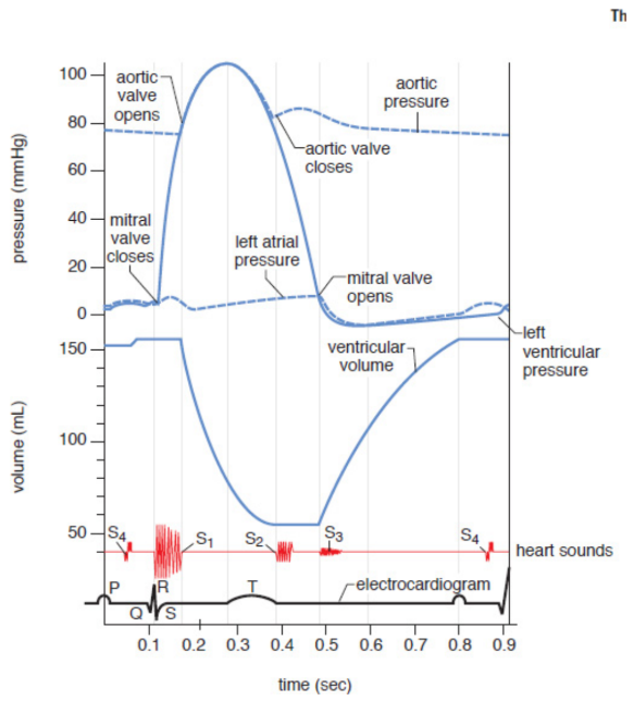 <p>normal events of one heartbeat, including pressures in the left atrium, left ventricle, and aorta; left ventricular volume; normal and pathologic heart sounds; and an EKG</p>